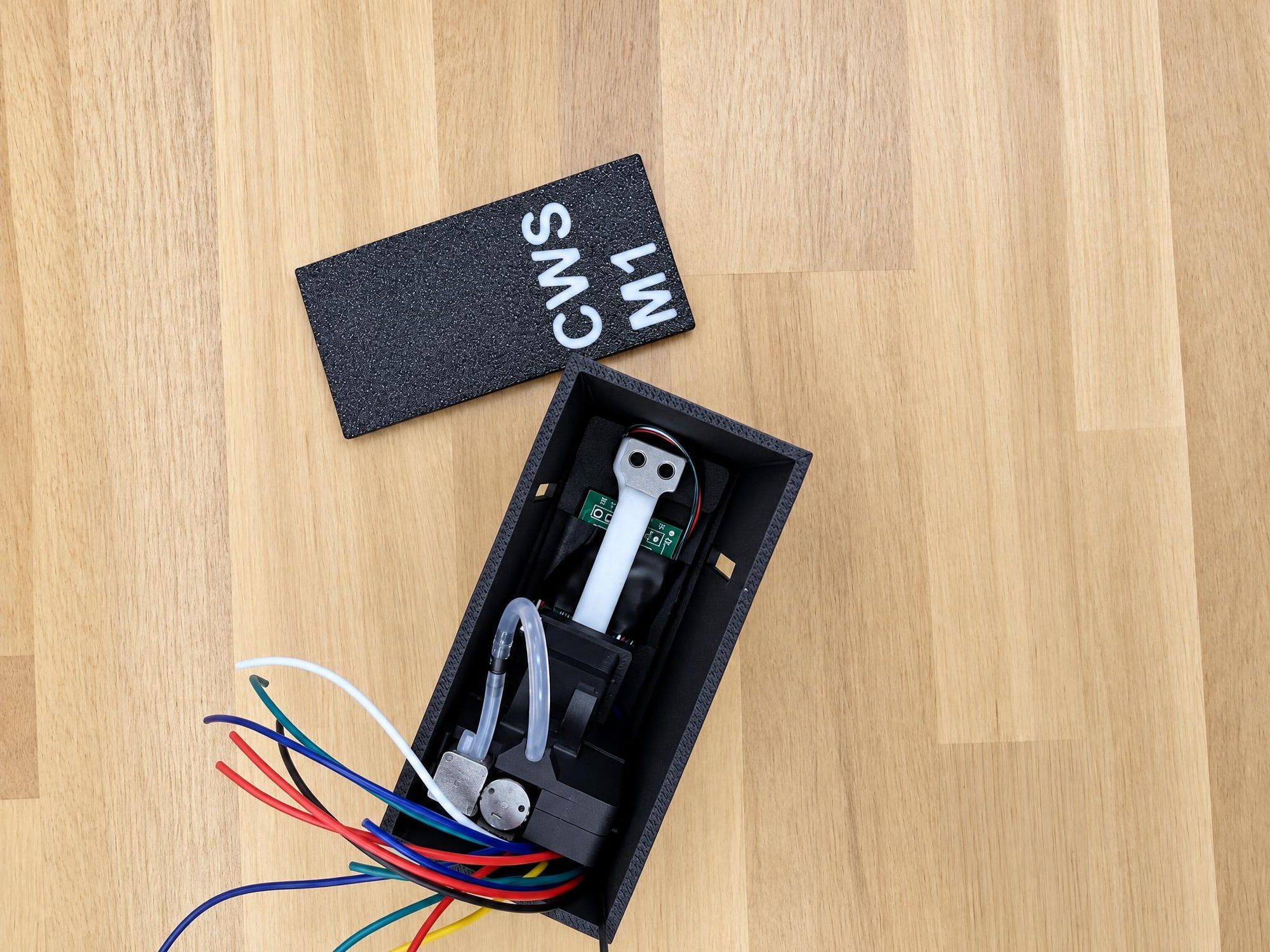 CWS M1 2